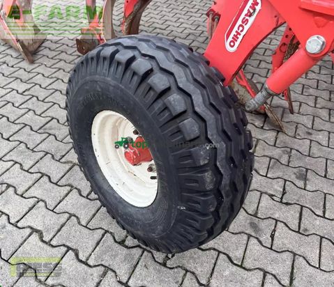 Arado - Maschio - unico l5 +vario nsh