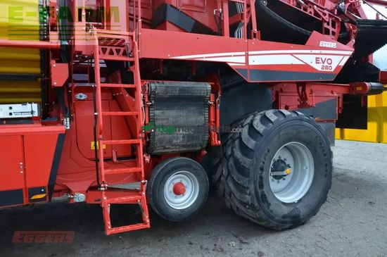 Cosechadora - arrancadora de patata - Grimme - evo 280 clodsep nonstop