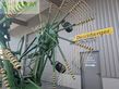 Henificador - Krone - swadro 1401