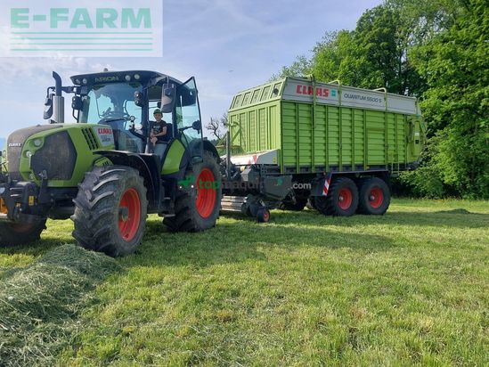 Cinta transportadora de forraje - Claas - quantum 5500 s