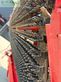 Cosechadora de Cereal - Grimme - varitron 470 tt rs