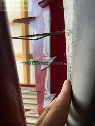 Cinta transportadora de forraje - Strautmann - terra-vitesse