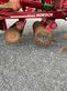 Grada de disco - Horsch - joker 6 rt