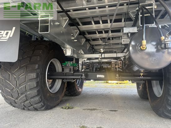 Cinta transportadora de forraje - Fliegl - asw 261 compact fox