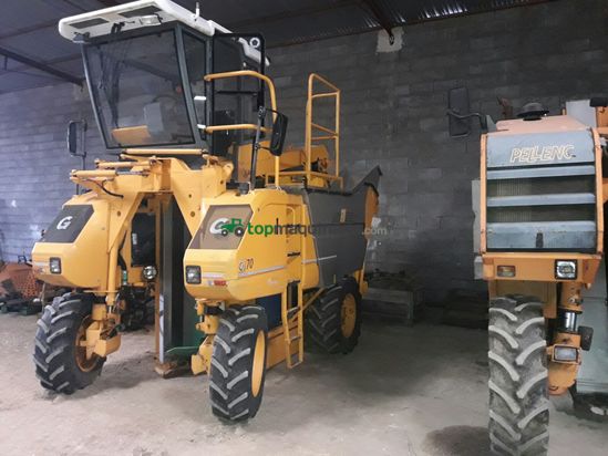 Vendimiadora - Grégoire - G70