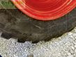 Empacadora gigant - Claas - rollant 630 rc uniwrap