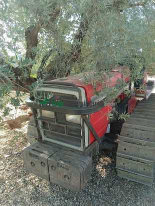 Tractor cadena - Massey Ferguson - mf 376-cfr