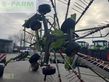 Rastrillo - Claas - liner 1650 twin
