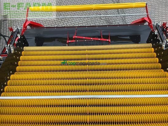 Cosechadora - arrancadora de patata - Grimme - rh 24-60 cf - rental