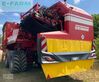 Cosechadora - arrancadora de patata - Grimme - evo 290