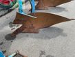 Arado - Lemken - Juwel 7M