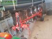 Arado - Maschio - unico m passo 4
