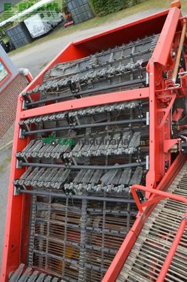 Cosechadora - arrancadora de patata - Grimme - evo 290 clodsep