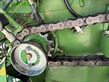 Empacadora gigant - Krone - comprima v 180 xc