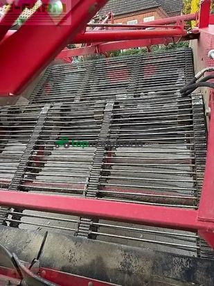 Cosechadora - arrancadora de patata - Grimme - wv 180