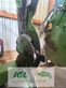 Cortacésped manual - Krone - easycut b 890