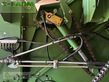 Empacadora gigant - Krone - variopack 1800