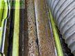 Cosechadora de Cereal - Claas - jaguar 940