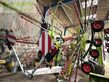Henificador - Claas - USED LINER 3600