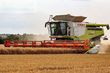 Cosechadora de Cereal - Claas - lexion 780 tt *allrad* + v1230