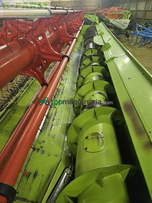 Cabezal - Claas - vario 930 + 2 rapstrenner + transportwagen