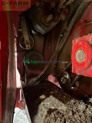 Cosechadora - arrancadora de patata - Grimme - se 150 - 60 ub