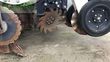 Riego -  - stripcat ii