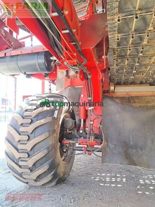 Cosechadora - arrancadora de patata - Grimme - se 260 ub