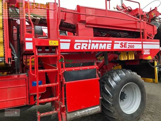 Cosechadora - arrancadora de patata - Grimme - se 260 ub