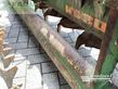 Sembradora - Amazone - ad 302 / kg 302