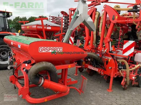 Sembradora monograno mecanica - Maschio - manta 8-reihig