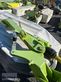 Cortacésped manual - Claas - disco 8400 contour