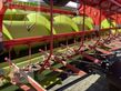 Cosechadora de Cereal - Claas - lexion 7500 tt + v930 + tw