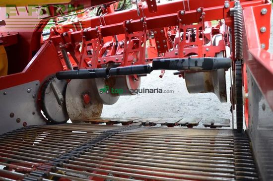 Cosechadora - arrancadora de patata - Grimme - evo 280 clodsep nonstop