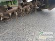 Cortacésped manual - Claas - disco 3100 fc profil
