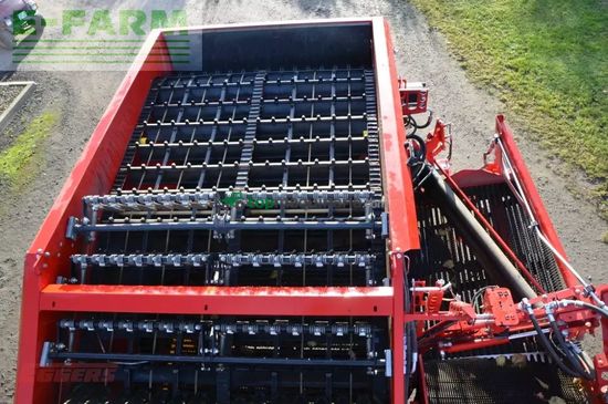 Cosechadora - arrancadora de patata - Grimme - evo 280 clodsep gen ii