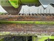 Cabezal - Claas - pick up 300