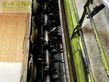 Cortacésped manual - Claas - disco 9200 c auto swather