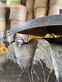 Telescopica - JCB - 542-70 agri pro