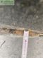 Cisterna - Kotte - ve 11700 ecoline