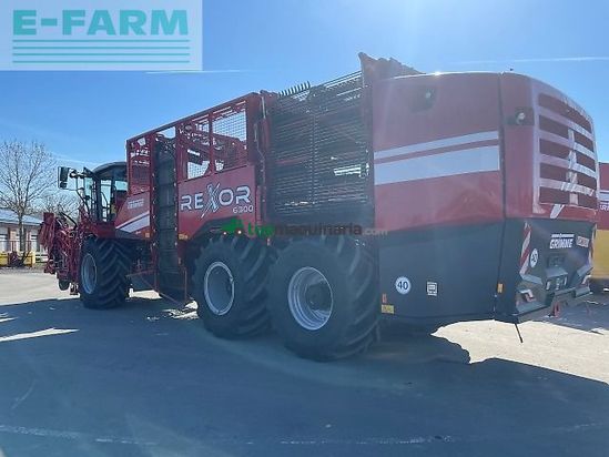 Cosechadora de Cereal - Grimme - rexor 6300 platinum
