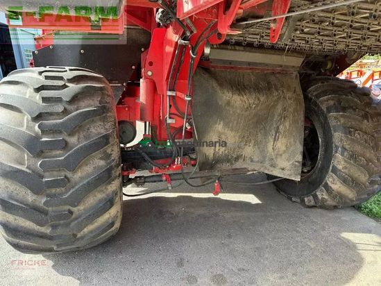 Cosechadora - arrancadora de patata - Grimme - se 260 ub non stop