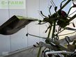 Henificador - Claas - volto 800