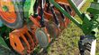 Grada rotativa - Amazone - ke 303