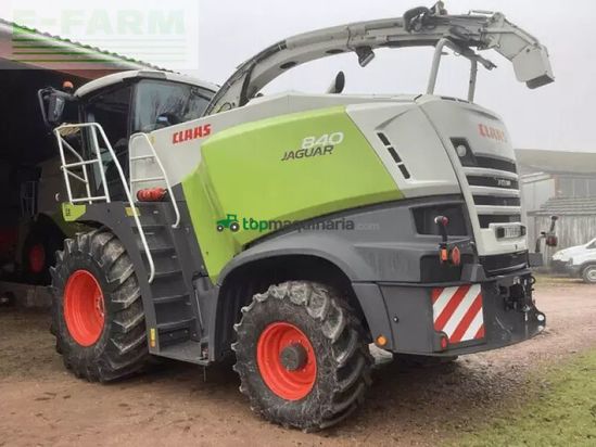 Cosechadora de Cereal - Claas - jaguar 840 4wd t4f tradition