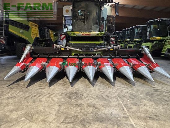 Cabezal - Dominoni - maispflücker sl968