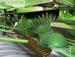 Empacadora gigant - Krone - comprima v 180 xc