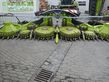 Cabezal - Claas - orbis 750 transportsystem