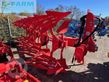 Arado - Maschio - unico m passo 4+1 d95