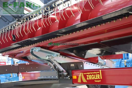 Cabezal - Case IH - 3050 std 6,70